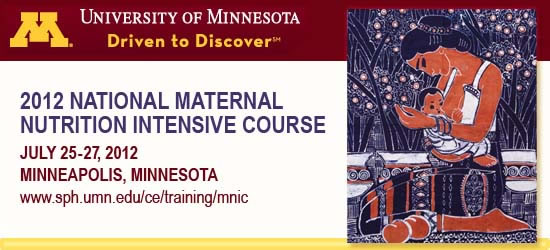 2012 National Maternal Nutrition Intensive Course