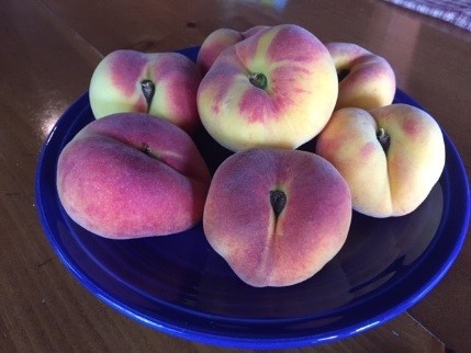 Plate of peaches