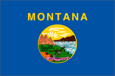 MT State Flag