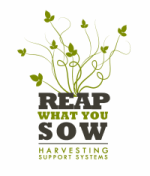 Logo Reap what you sow