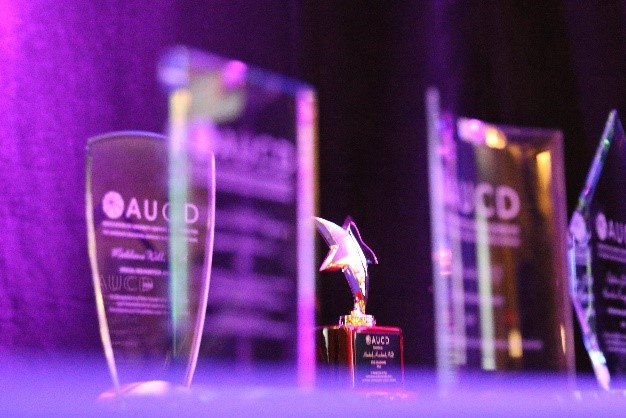 Photo of 3 awards with one award shaped as a star standing out up front.