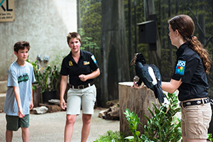 Image of a woman holding a bird facing another woman both wearing zoom uniforms with a boy watching in the background.