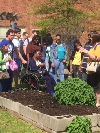 Students working in a campus garden.