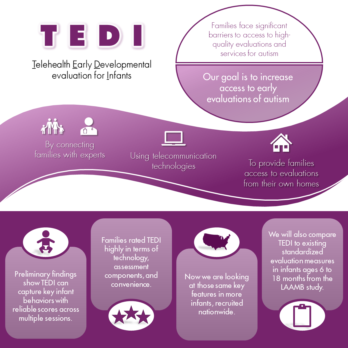 infographic description: poster explaining the TEDI system.  