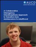 A Collaborative Interagency, Interdisciplinary Approach  to Transition from Adolescence to Adulthood