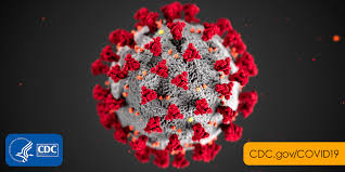 picture of COVID virus