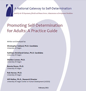 Cover Image for Promoting Self-Determination for Adults: A Practice Guide