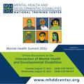 Mental Health Summit 2021