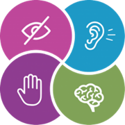 Accessiblity Icons
