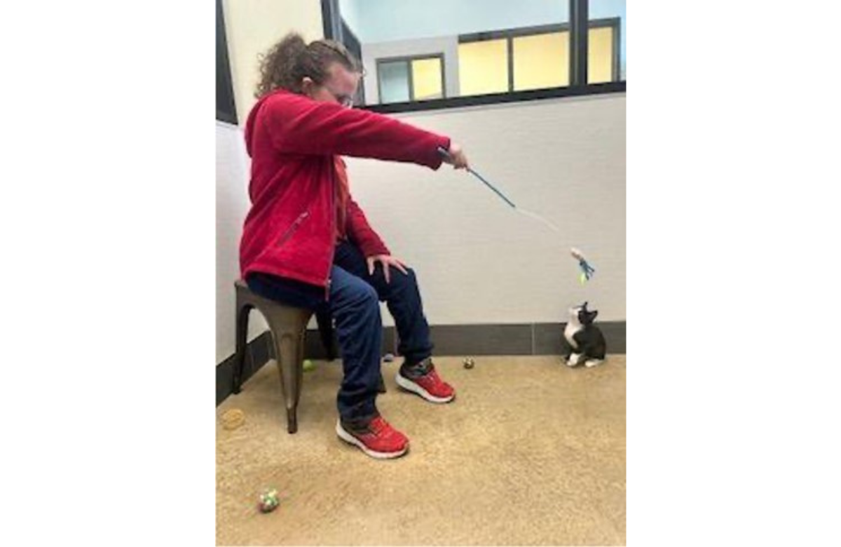 A person in a red jacket sits on a stool and plays with a black and white kitten using a wand toy with a feather at the end. Several small balls are scattered on the floor around them.