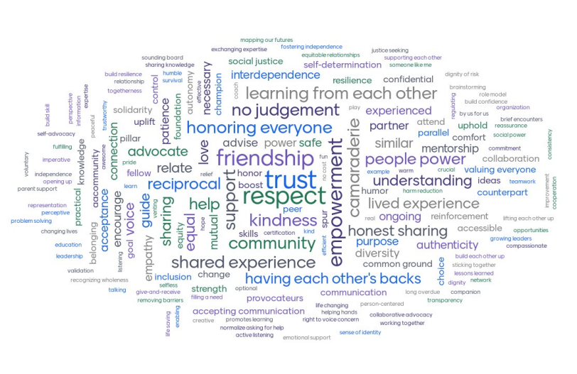 AAC Peer Support Project: Findings and recommendations released in final written report